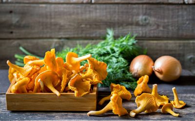 Comment cuisiner les chanterelles pour révéler toute leur saveur ?