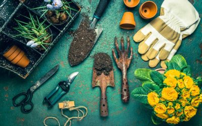 Quels sont les outils indispensables pour le potager ?